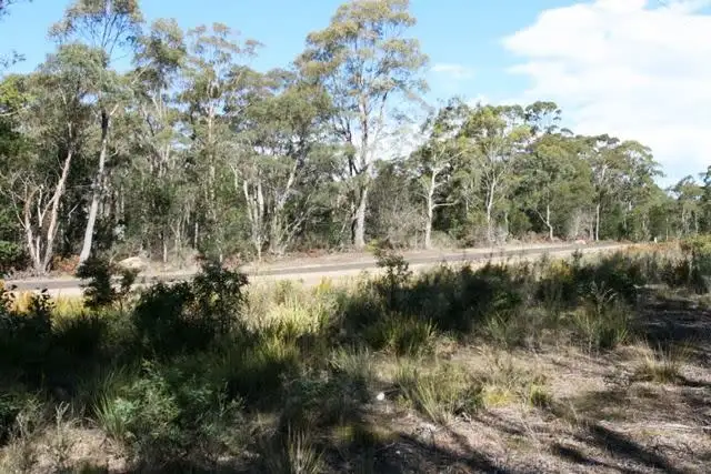 Second view of Homely land listing, PD 6408488 Elephant Pass Road, St Marys TAS 7215