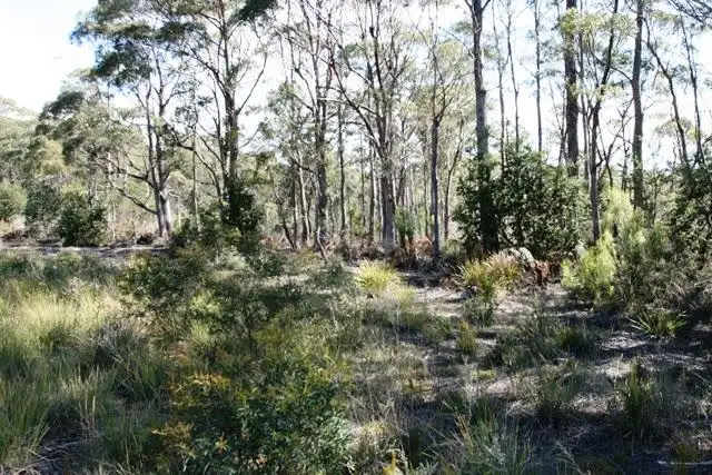 Third view of Homely land listing, PD 6408488 Elephant Pass Road, St Marys TAS 7215