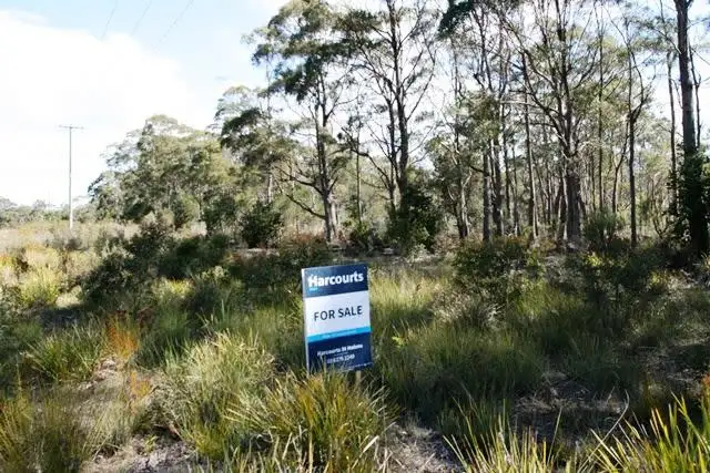 Fourth view of Homely land listing, PD 6408488 Elephant Pass Road, St Marys TAS 7215