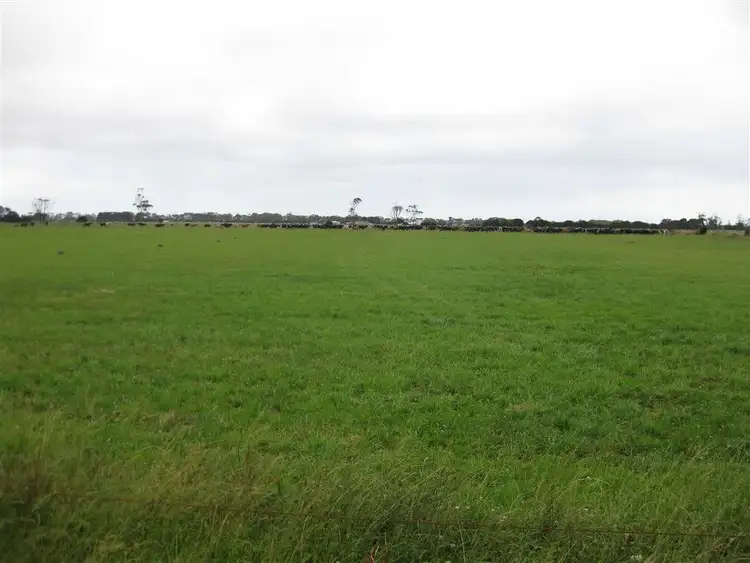Fifth view of Homely rural property listing, 90 Hardmans Road, Mella TAS 7330