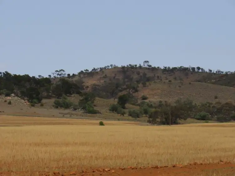 " Avonmore", Orroroo SA 5431