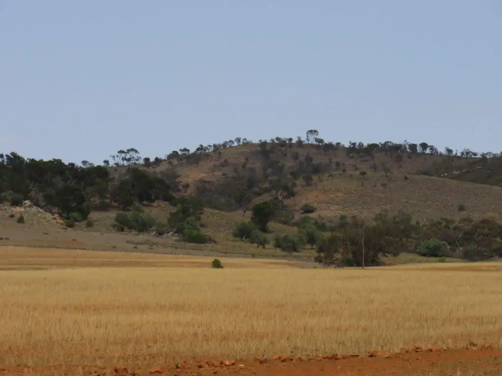Main view of Homely rural property listing, " Avonmore", Orroroo SA 5431