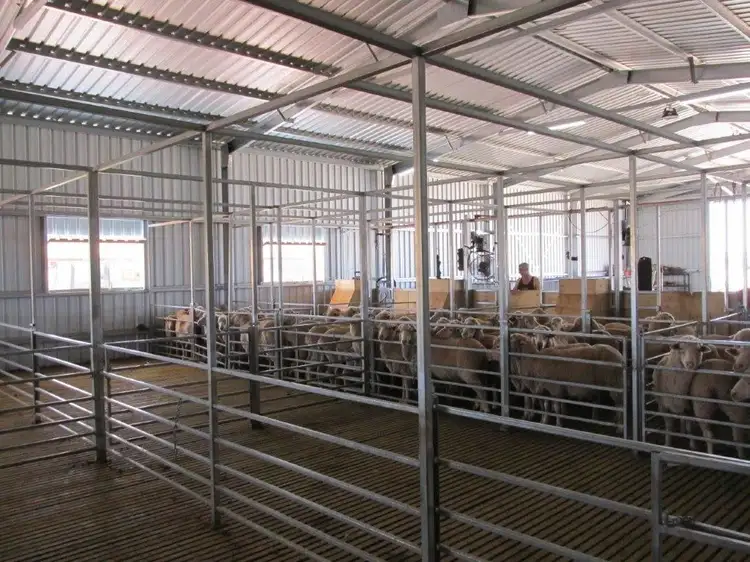 Sixth view of Homely rural property listing, " Avonmore", Orroroo SA 5431