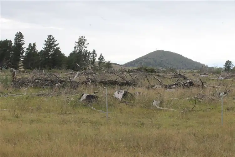 Seventh view of Homely rural property listing, L12 Sandholes Road, Braidwood NSW 2622