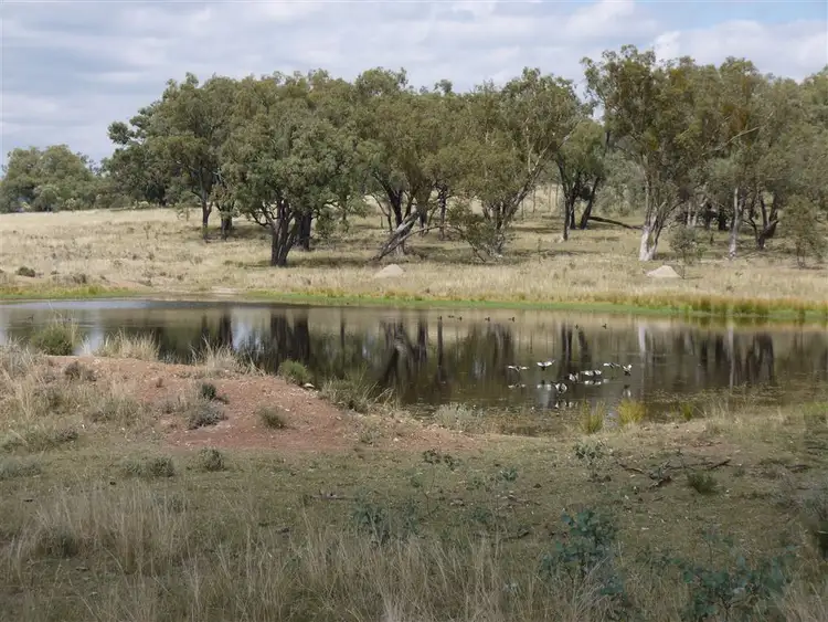 Seventh view of Homely rural property listing, 534 Uandi rd, Inglewood QLD 4387