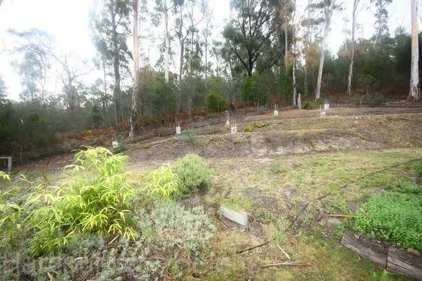 Seventh view of Homely rural property listing, 155 Upper Scamander Road, Scamander TAS 7215
