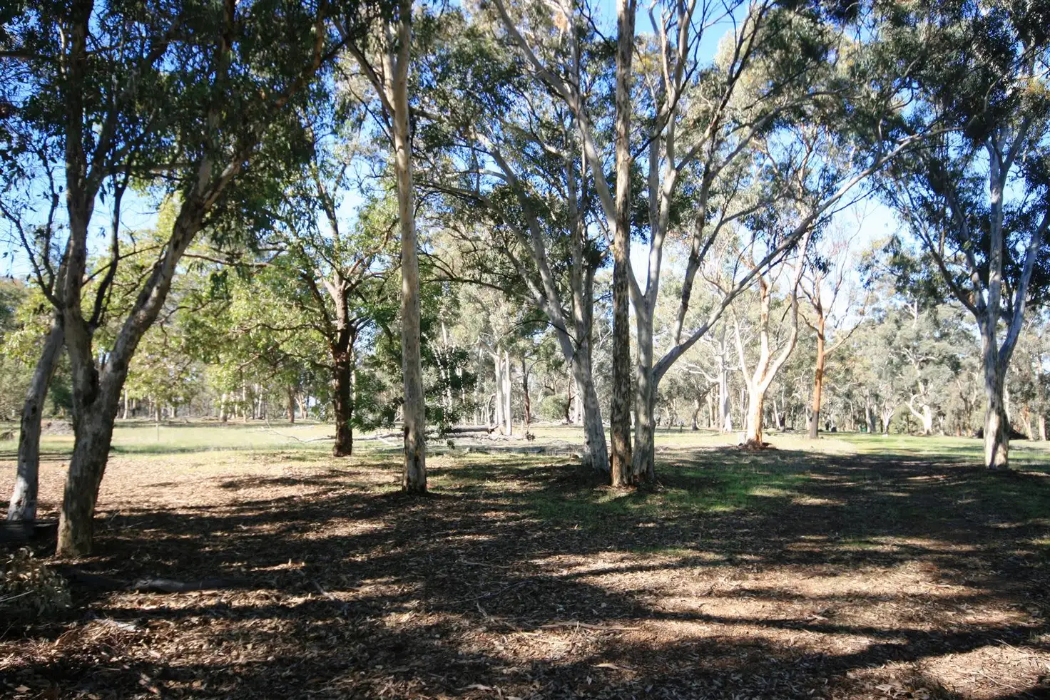 Main view of Homely land listing, Lot 302 Chitty Road, Bakers Hill WA 6562