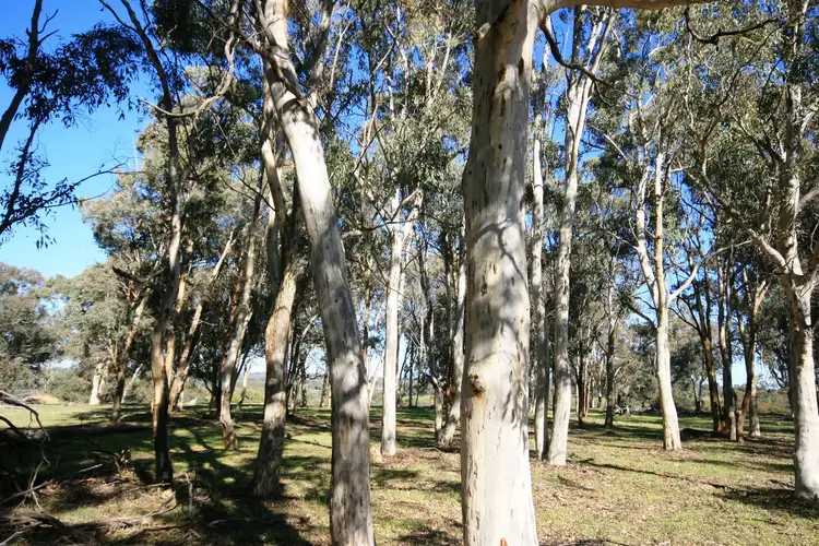 Fourth view of Homely land listing, Lot 302 Chitty Road, Bakers Hill WA 6562