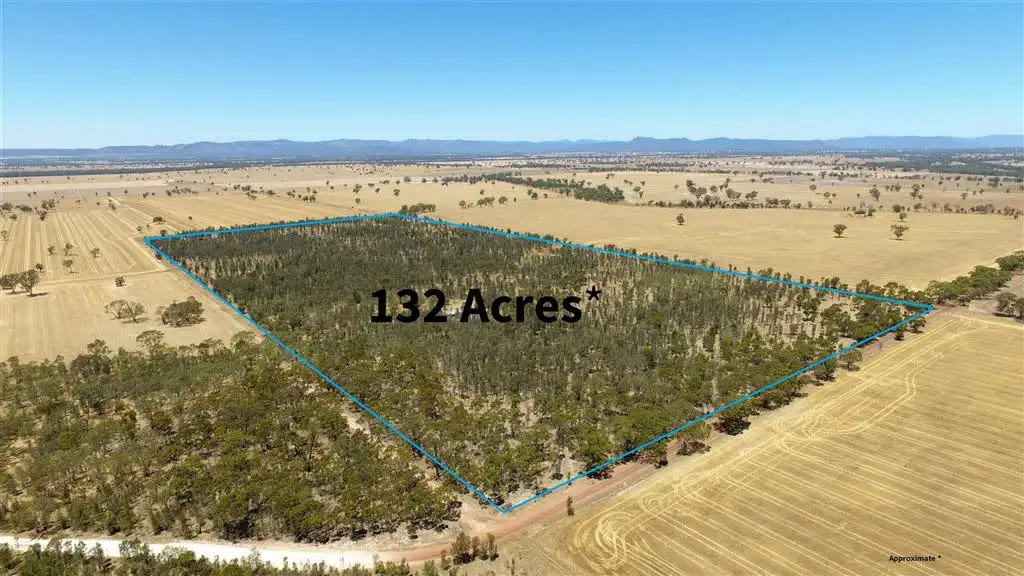 Main view of Homely rural property listing, Lot 8 Donald Swamp Rd, Mockinya VIC 3401
