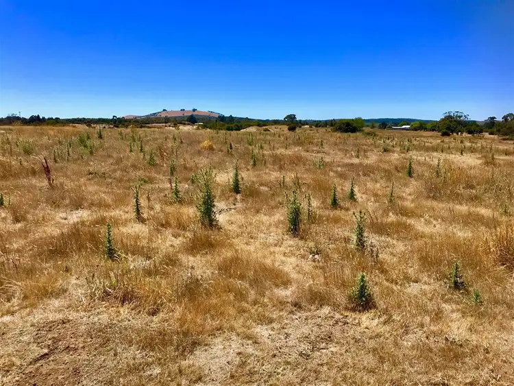 Sixth view of Homely land listing, 95 Four Star Road, Creswick VIC 3363