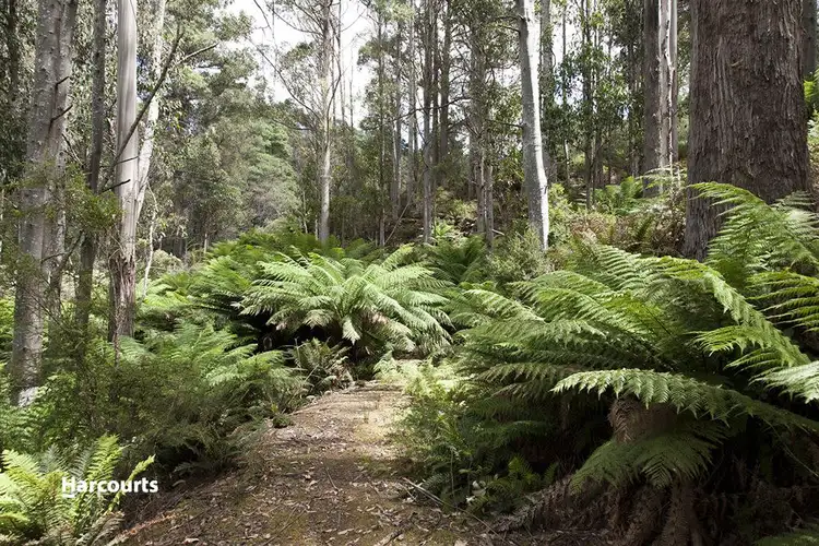 Lot 2 Bakers Creek Trail, Lucaston TAS 7109