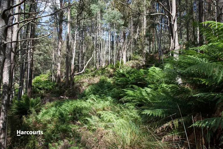 Second view of Homely land listing, Lot 2 Bakers Creek Trail, Lucaston TAS 7109