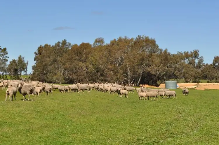 Fourth view of Homely rural property listing, ' Trentham ', Kojonup WA 6395