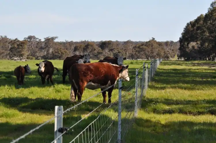 Fifth view of Homely rural property listing, ' Trentham ', Kojonup WA 6395