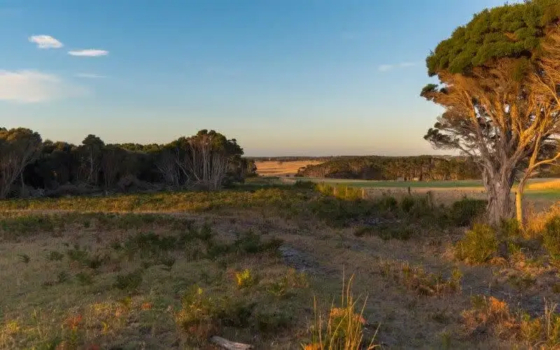 Main view of Homely rural property listing, 176 Grassy Rd crn Thomas Street, Currie TAS 7256