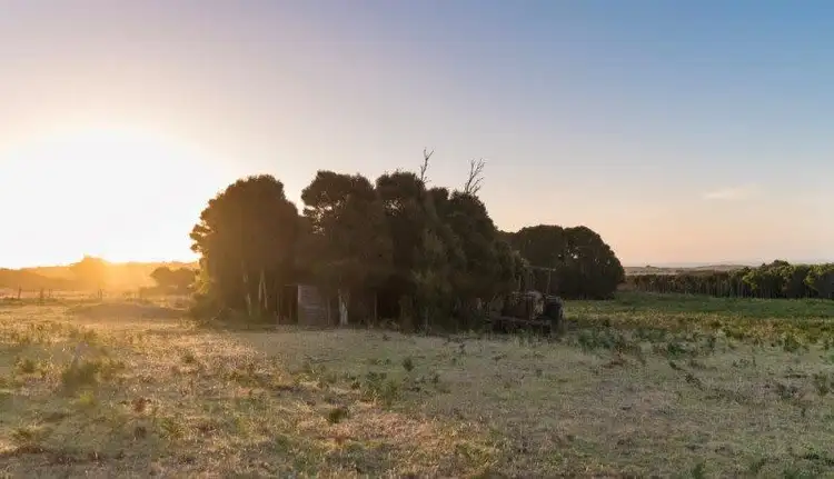 Fifth view of Homely rural property listing, 176 Grassy Rd crn Thomas Street, Currie TAS 7256