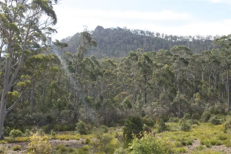 6408074 St Patricks Head Road, St Marys TAS 7215