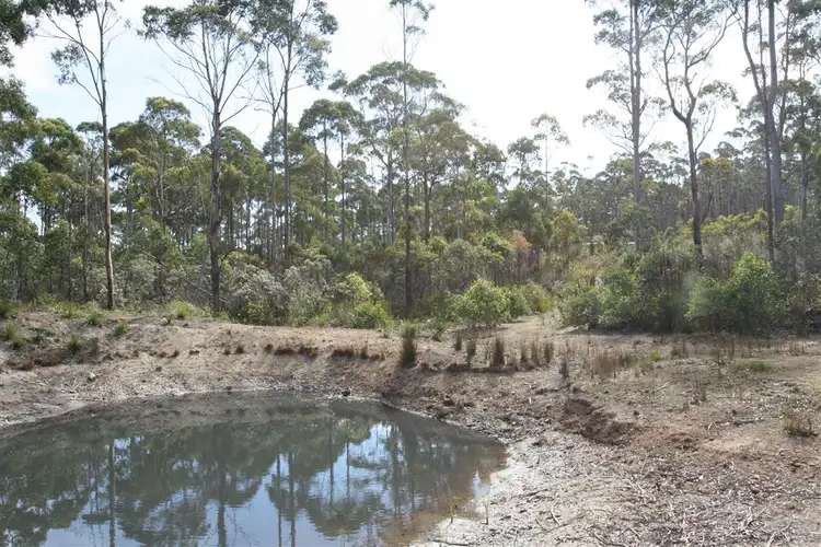 Third view of Homely land listing, 6408074 St Patricks Head Road, St Marys TAS 7215