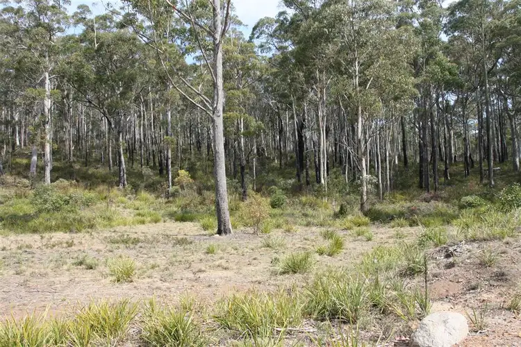 Fourth view of Homely land listing, 6408074 St Patricks Head Road, St Marys TAS 7215
