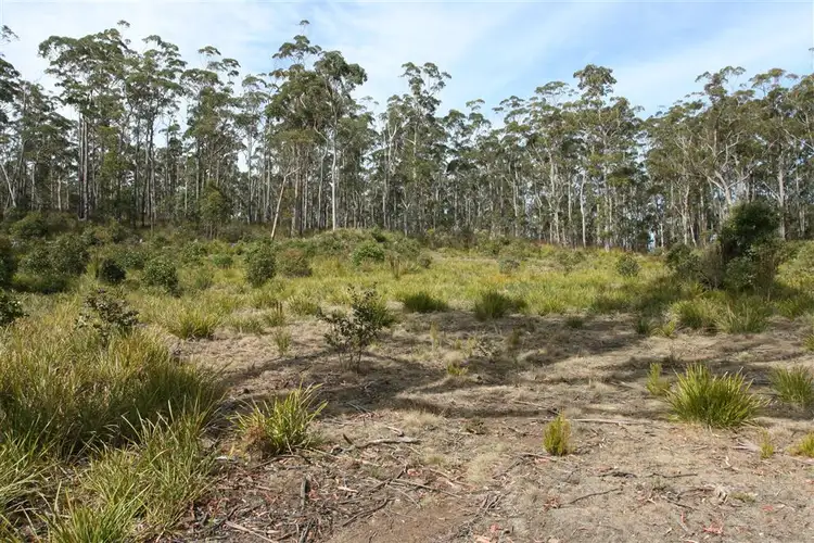 Fifth view of Homely land listing, 6408074 St Patricks Head Road, St Marys TAS 7215