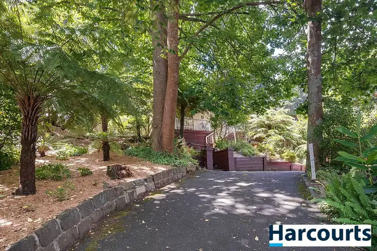 25 Blackwood Street, Tecoma VIC 3160