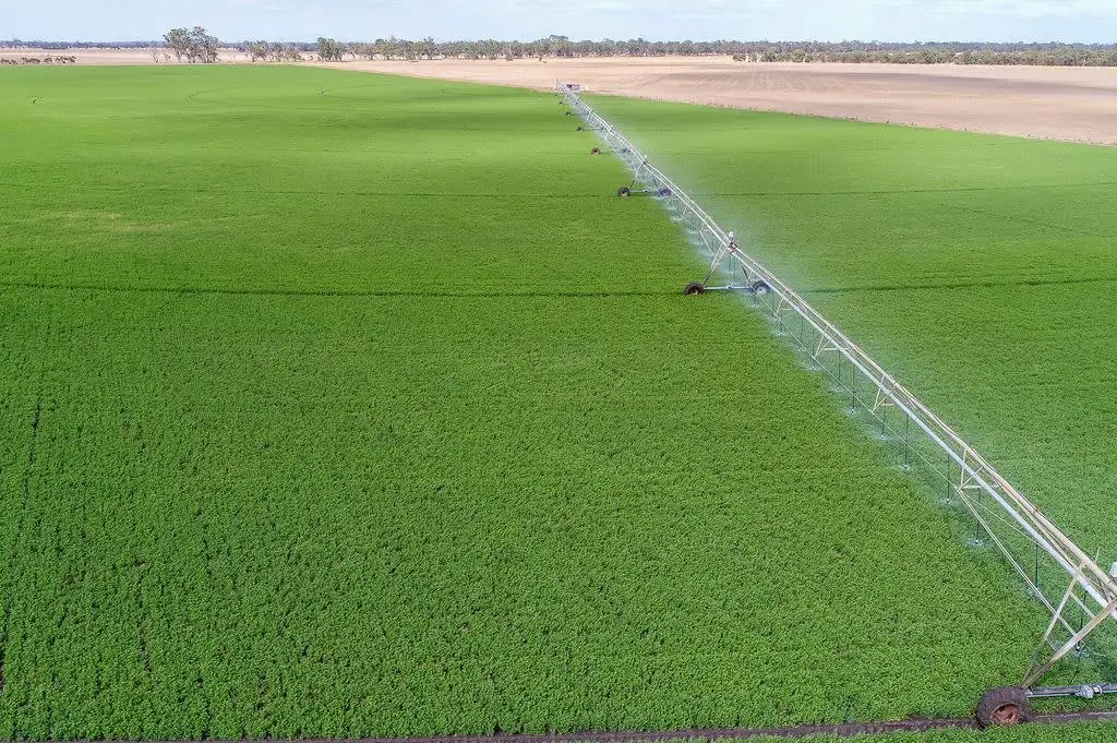 Main view of Homely rural property listing, 69 Darcy Kings Road, Bordertown SA 5268