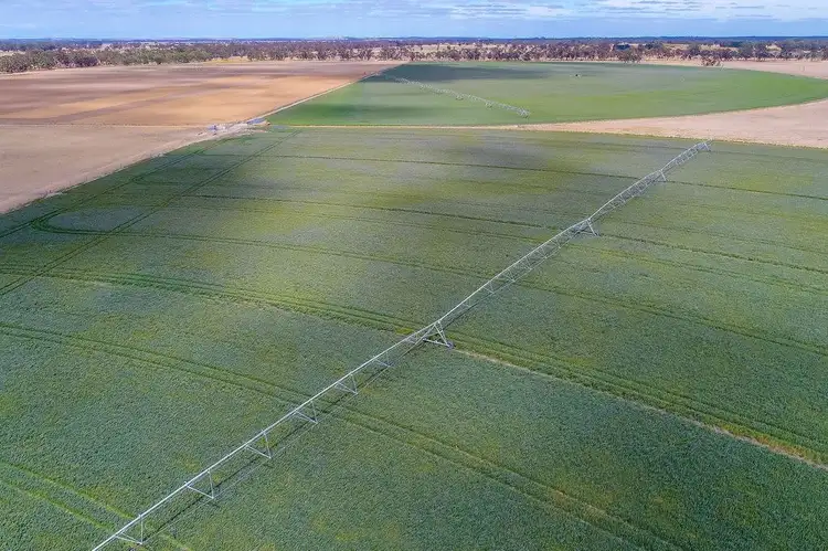 Fourth view of Homely rural property listing, 69 Darcy Kings Road, Bordertown SA 5268