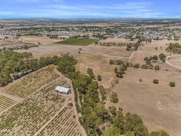 Sixth view of Homely land listing, Lot 280 Jenkins Road, Angle Vale SA 5117