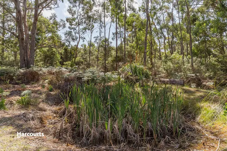 Sixth view of Homely house listing, 290 Lune River Road, Ida Bay TAS 7109