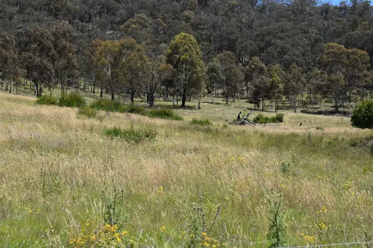441 Bingo Tice Road, Omeo VIC 3898