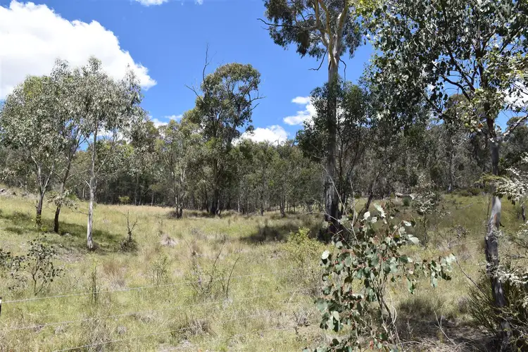 Sixth view of Homely rural property listing, 441 Bingo Tice Road, Omeo VIC 3898