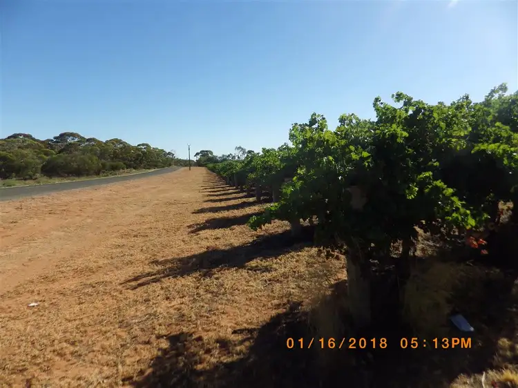 Fourth view of Homely rural property listing, 364 Katarapko Crescent, Winkie SA 5343