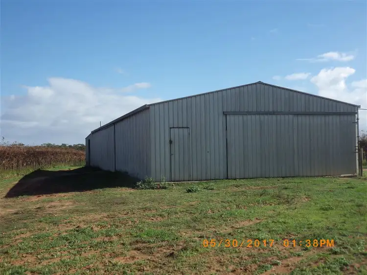 Fifth view of Homely rural property listing, 364 Katarapko Crescent, Winkie SA 5343