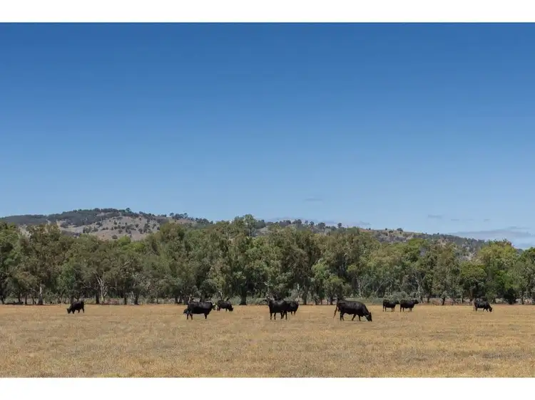 Main view of Homely rural property listing, 000 Lomers Road, Euroa VIC 3666