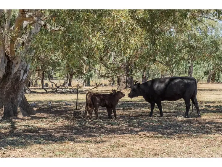 Second view of Homely rural property listing, 000 Lomers Road, Euroa VIC 3666
