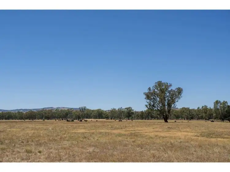Seventh view of Homely rural property listing, 000 Lomers Road, Euroa VIC 3666