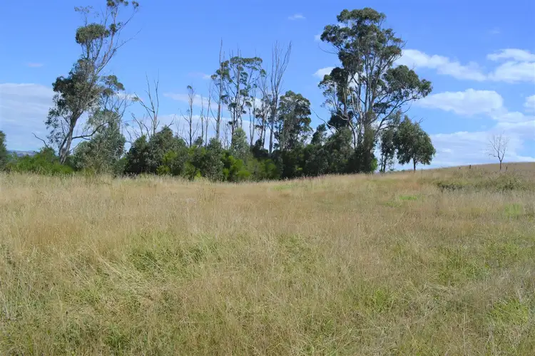 159 Hilltop Road, Jindivick VIC 3818