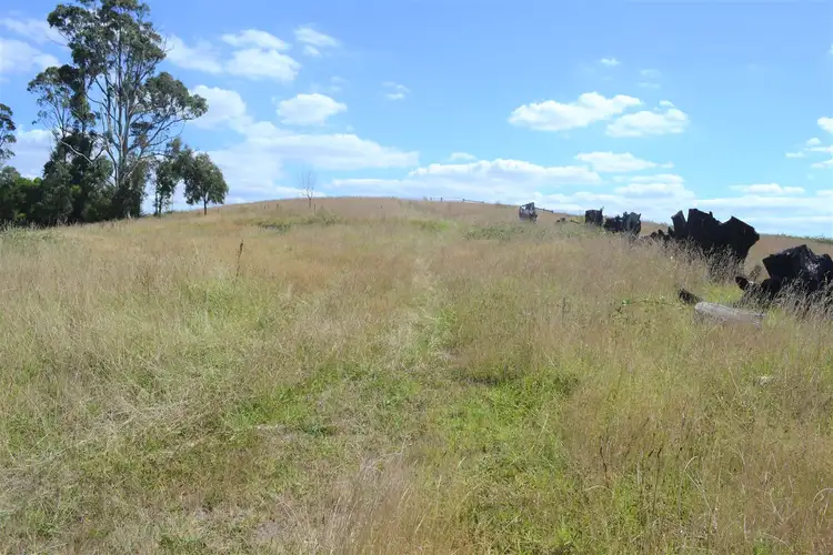 Third view of Homely rural property listing, 159 Hilltop Road, Jindivick VIC 3818