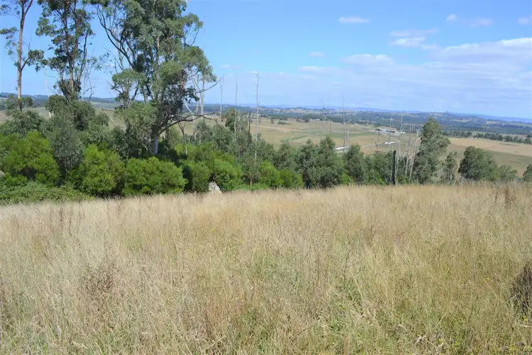 Seventh view of Homely rural property listing, 159 Hilltop Road, Jindivick VIC 3818