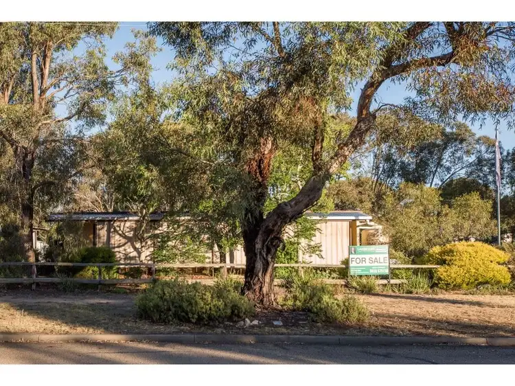 Main view of Homely house listing, 8 Baird Street, Violet Town VIC 3669