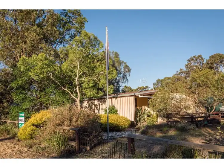 Sixth view of Homely house listing, 8 Baird Street, Violet Town VIC 3669