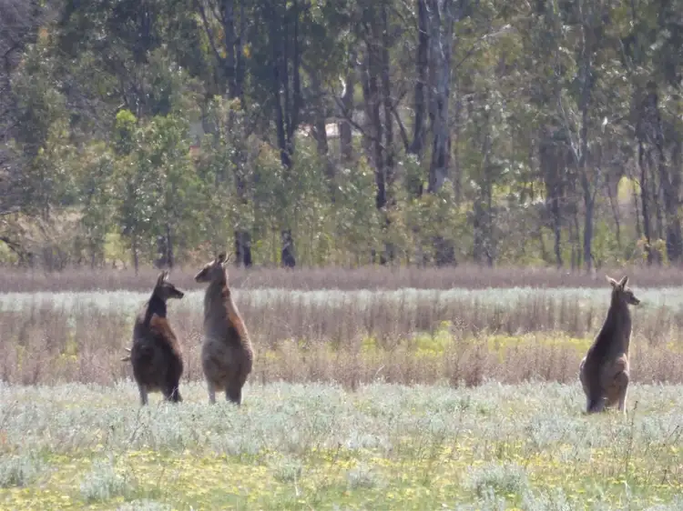 Second view of Homely land listing, Lot 11 3006a Northern Grampians, Wartook VIC 3401