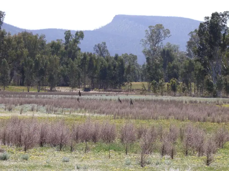 Sixth view of Homely land listing, Lot 11 3006a Northern Grampians, Wartook VIC 3401