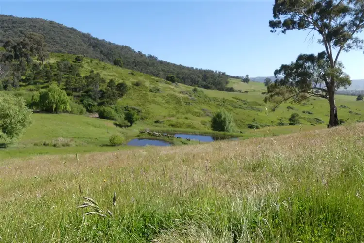 Second view of Homely rural property listing, 205 Fairview Rd, Kerrisdale VIC 3660