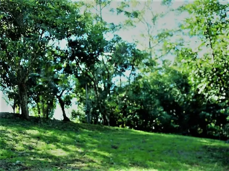 Main view of Homely land listing, 33 North Street, Tamborine Mountain QLD 4272