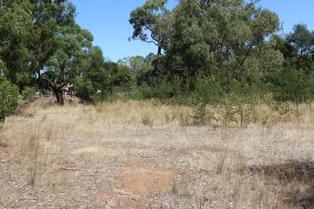 Fifth view of Homely land listing, 113 Balmoral-Coleraine Road, Balmoral VIC 3407