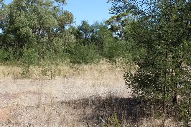 Sixth view of Homely land listing, 113 Balmoral-Coleraine Road, Balmoral VIC 3407