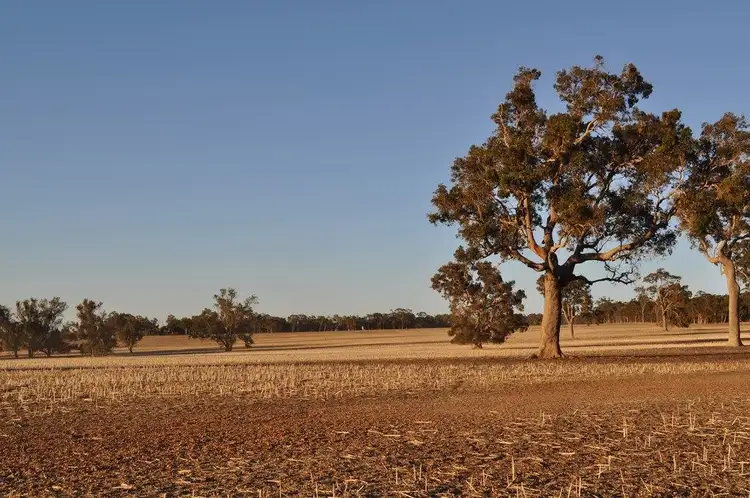 Main view of Homely rural property listing, ' Wren Hill ', Kojonup WA 6395