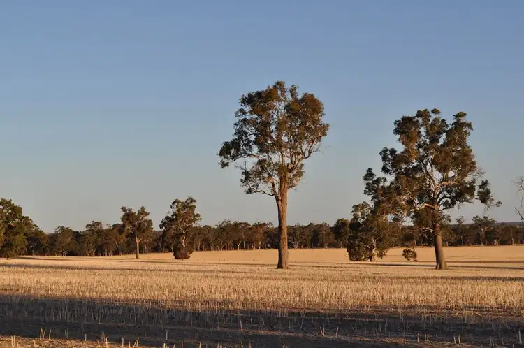 Seventh view of Homely rural property listing, ' Wren Hill ', Kojonup WA 6395
