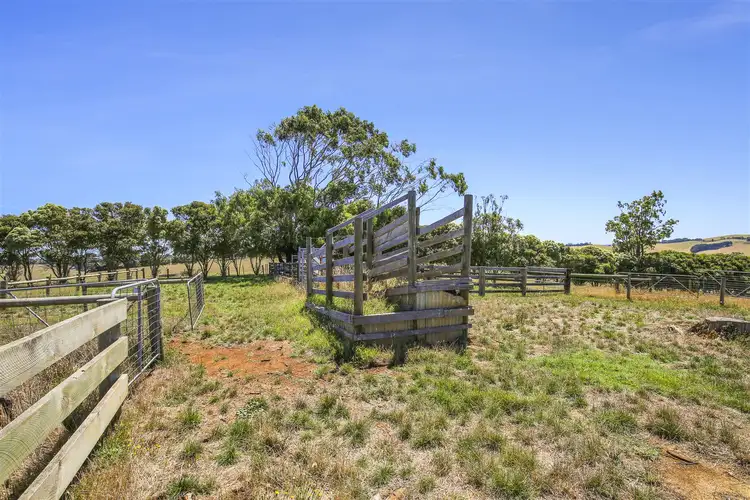 Second view of Homely rural property listing, 97 Toomeys Creek Road, Mardan VIC 3953